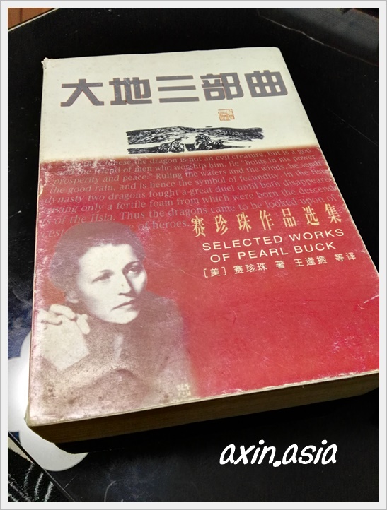 現役中国語通訳がお勧めする辞書を衝動買い Axin あしん の日々徒然 In上海